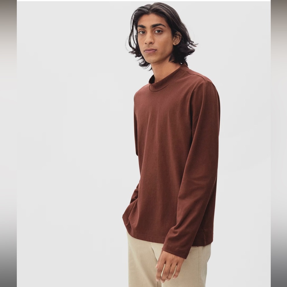 Everlane Premium Weight Mockneck Tee. Small. Hickory. Like New.